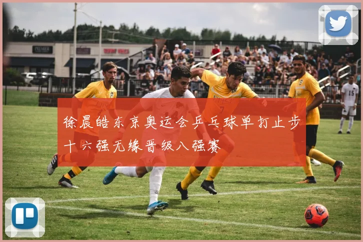 徐晨皓东京奥运会乒乓球单打止步十六强无缘晋级八强赛