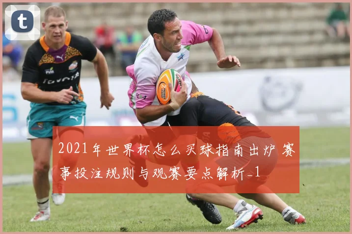 2021年世界杯怎么买球指南出炉 赛事投注规则与观赛要点解析_1