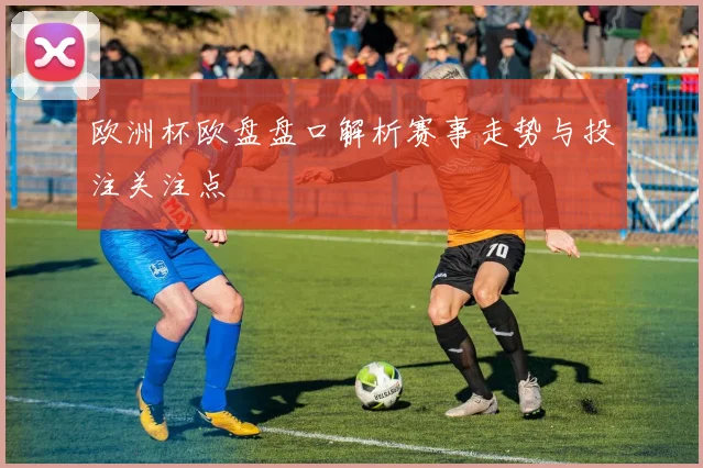 欧洲杯欧盘盘口解析赛事走势与投注关注点